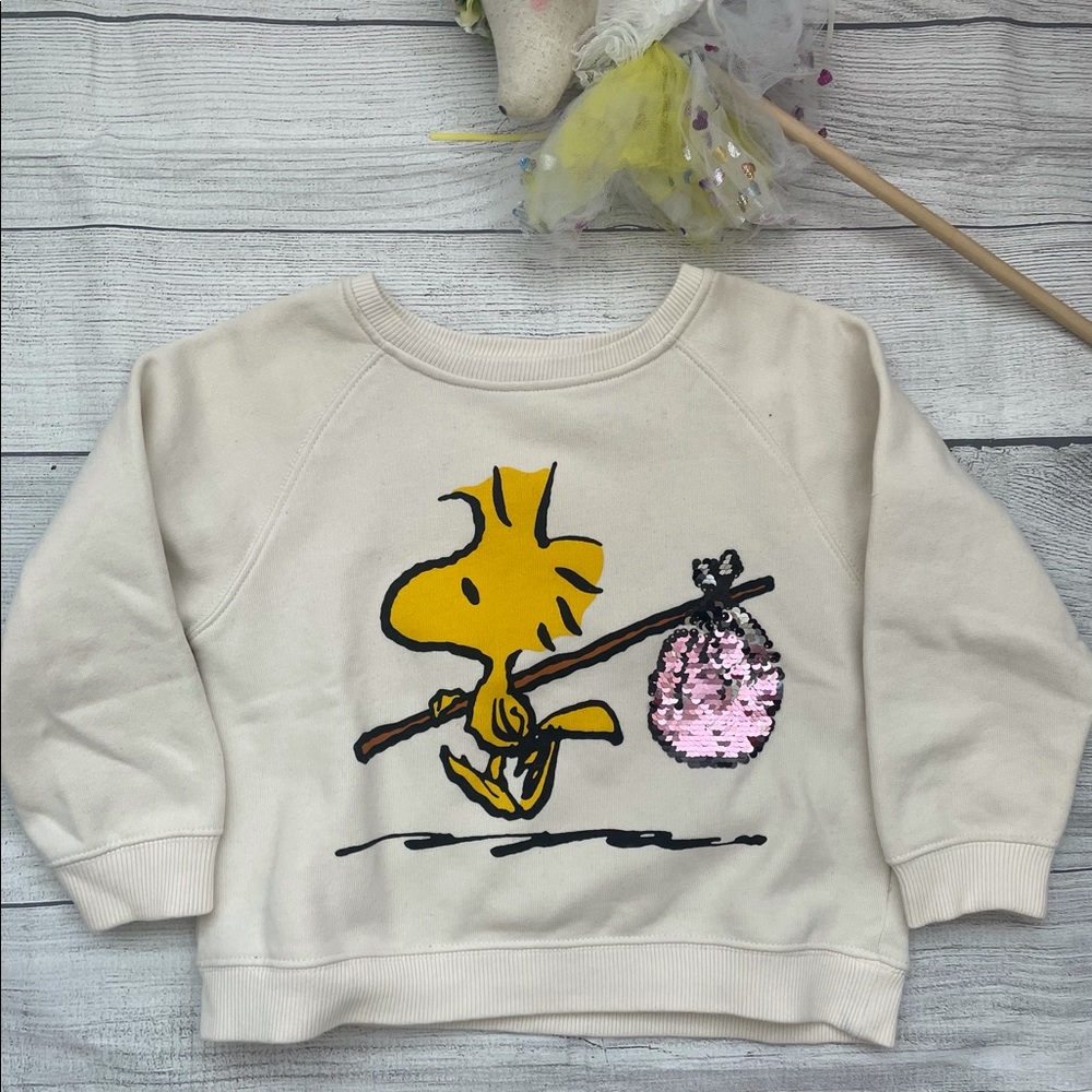 Zara Girl Sweatshirt